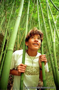 Bamboo Forest