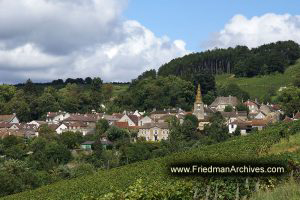 Beaune Establishing Shot