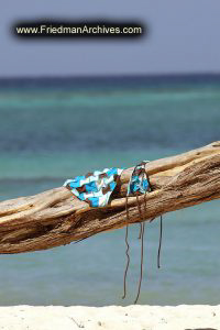 Bikini on Tree