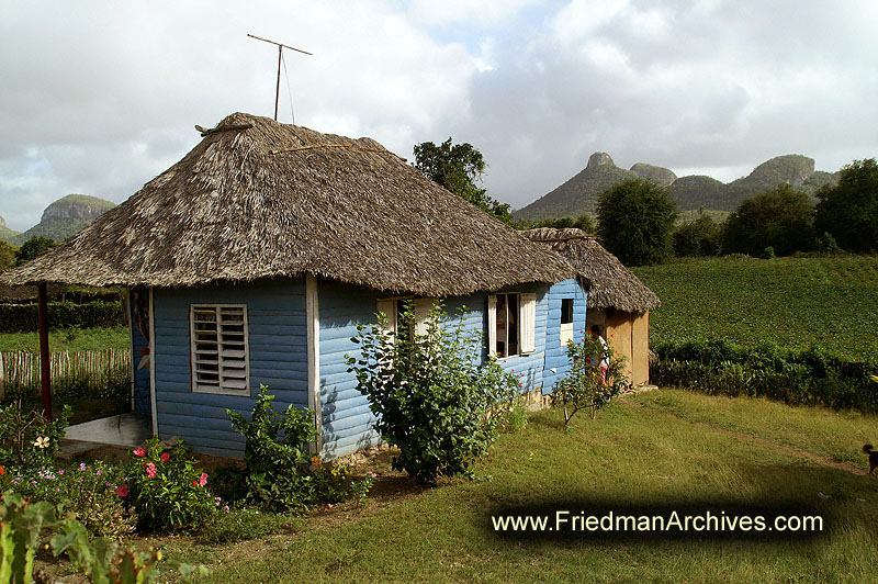 Blue House and Green Fields