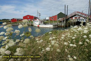 Boat Drawbridge and Flowers