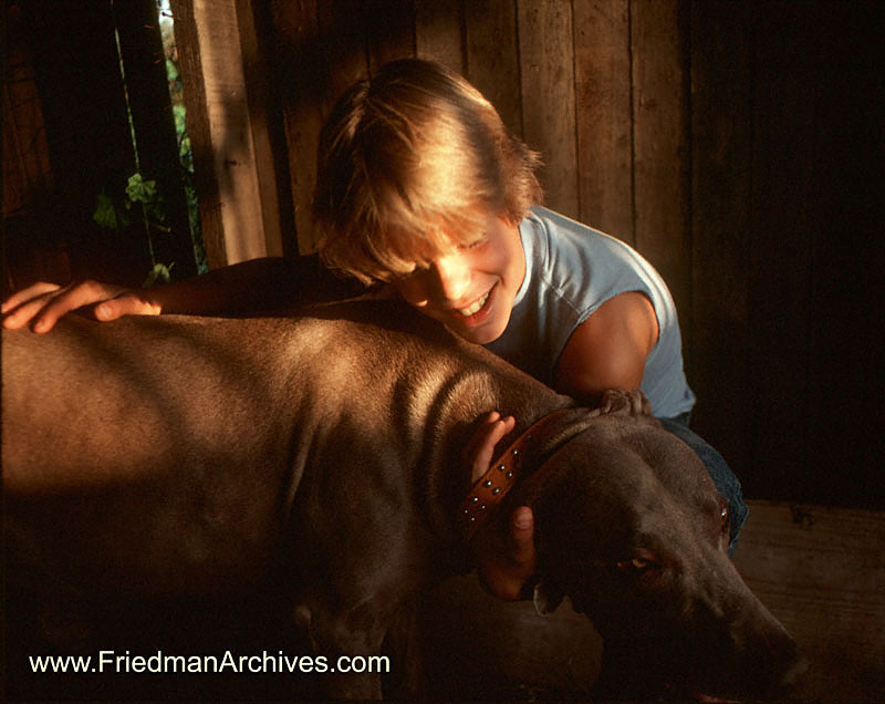 Boy and Dog - Sunset