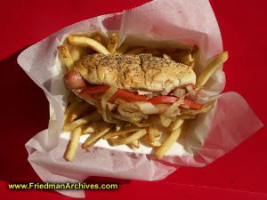 Chicago Hot Dog