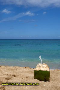 Coconut on Beach