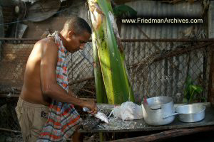 Cooking Fish