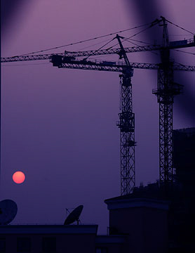 Cranes_at_dusk