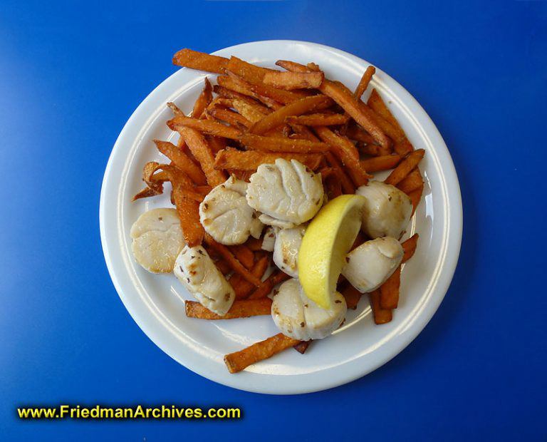 Digby Scallops The Friedman Archives Stock Photo Images by Gary L