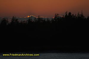 End of Sunset and trees