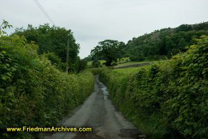 English Countryside Road