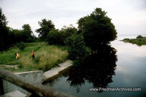 Field near River