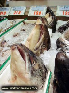 Fish Heads