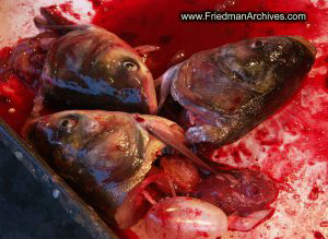 Fish Heads