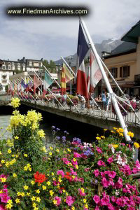 Flags and Flowers