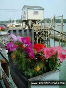 Freeport Flowers