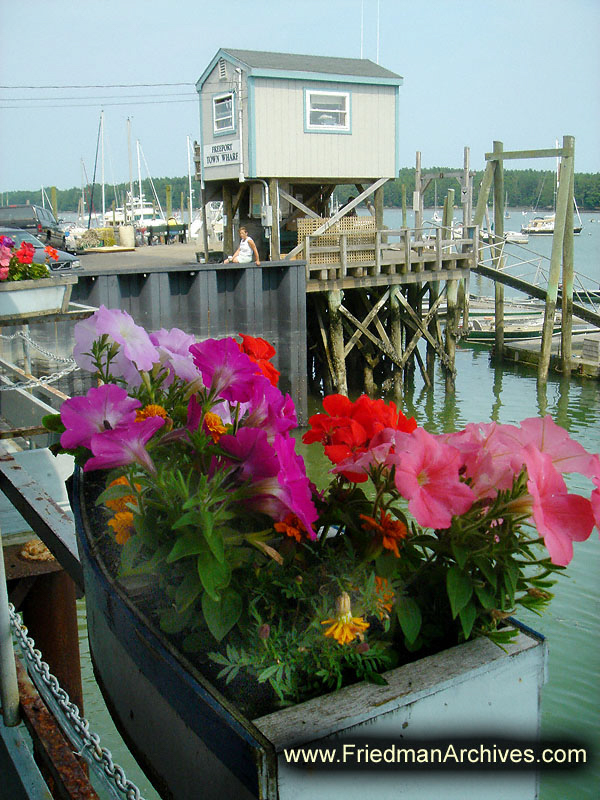 Freeport Flowers