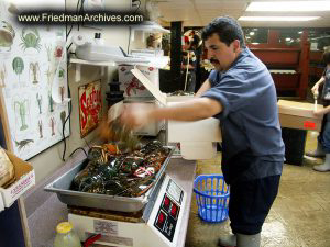 Guy Packing Lobster