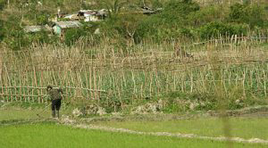 Caring for the fields.