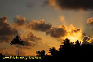 Hawaiian Sunrise