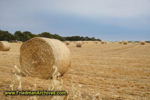 Haystacks