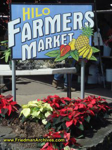 Hilo Farmer's Market