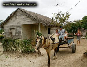 Horse Cart and House