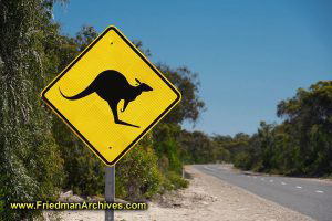 Kangaroo Crossing Sign