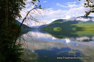 Lake Framed by Trees