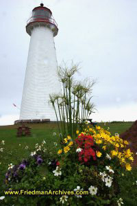 Lighthouse and Flowers