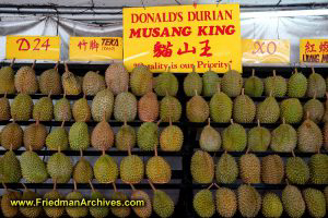 Lots of Durian!