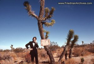 Man and Joshua Tree and Tux