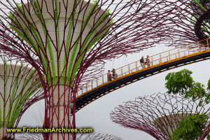 Marina Bay Sands Garden Towers