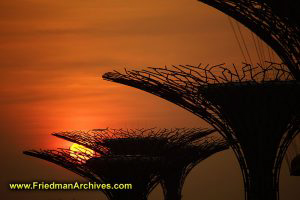 Marina Bay Sands Gardens Sunrise