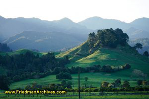 NZ Landscape