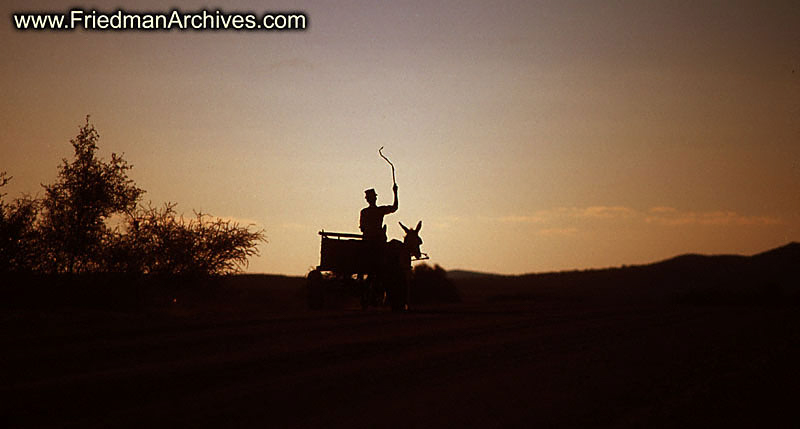 Namibia Gallery of Images Donkey Cart from Afar