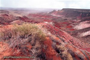 Red Desert