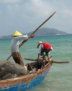 Navigating around the coral.