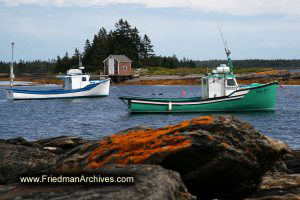 Boats in Water with Orange Moss