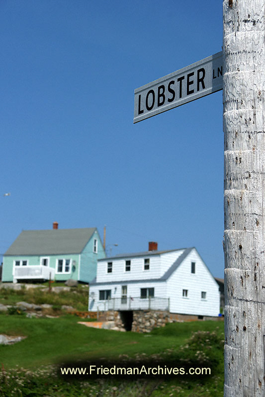 Lobster Lane