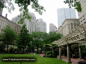 Park-and-Buildings