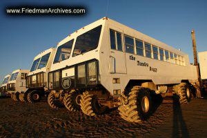 Tundra Buggy