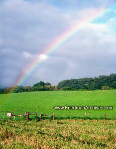 Rainbow Over Field