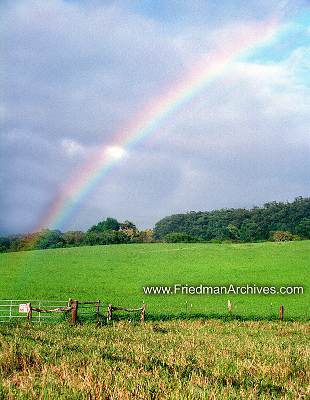 Rainbow Over Field