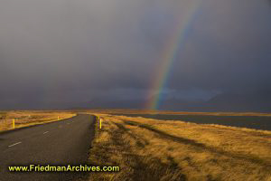 Rainbow in the Field