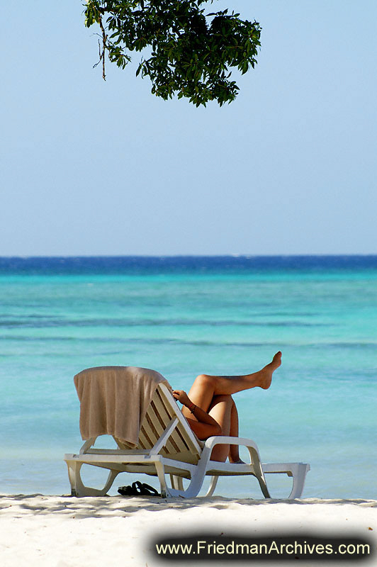 Relaxing by Beach with Tree at Top