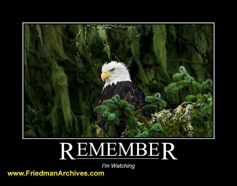 Remember
