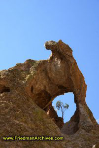 Rock with Hole and Tree