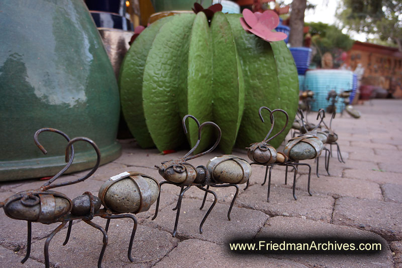 Sedona Marching Ants
