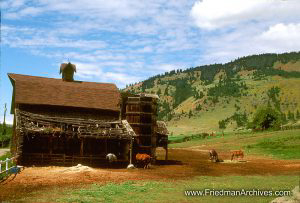 Shack on Pasture