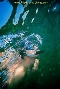 Snorkeler