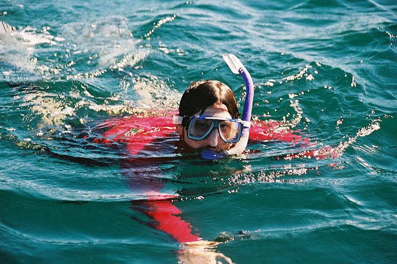 Snorkeler in Water